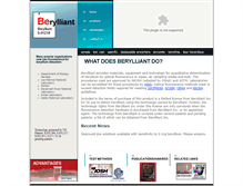Tablet Screenshot of berylliant.com